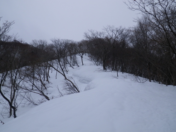 ヤブっぽく滑降向きでない尾根を登高する。