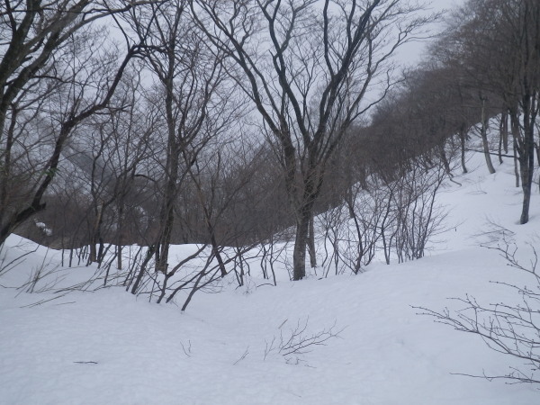 日越峠。静かなたたずまいだ。