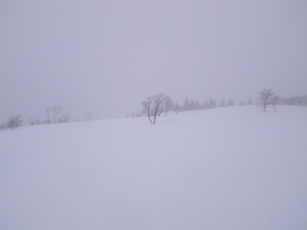 県境尾根には雪原が広がる。
