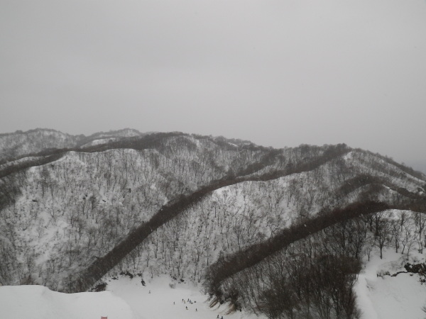 日の出山の展望台から金糞岳方面に延びる県境尾根を望む。