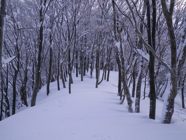 静かな尾根を登る。