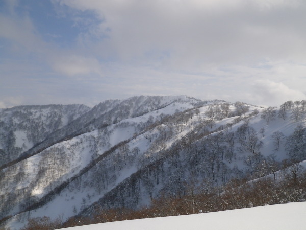 南越前町広野から上谷山に登ってきました。