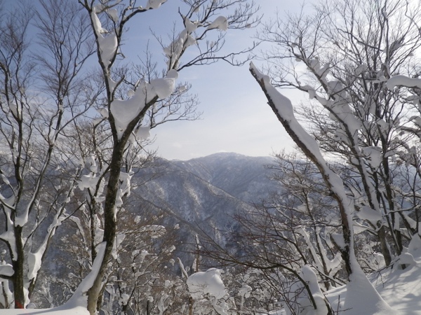 三周ヶ岳方面。