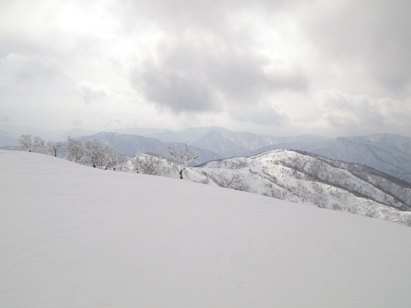 上谷山山頂より南西尾根、横山岳方面。