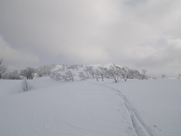 上谷山山頂を振り返る。写真を見ると滑降に良さそうだが、重い新雪でスキーはほとんど滑らなかった。