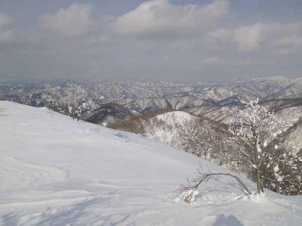 橋立尾根へドロップイン。