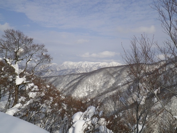 手倉山尾根越しに美濃俣丸、笹ヶ峰。