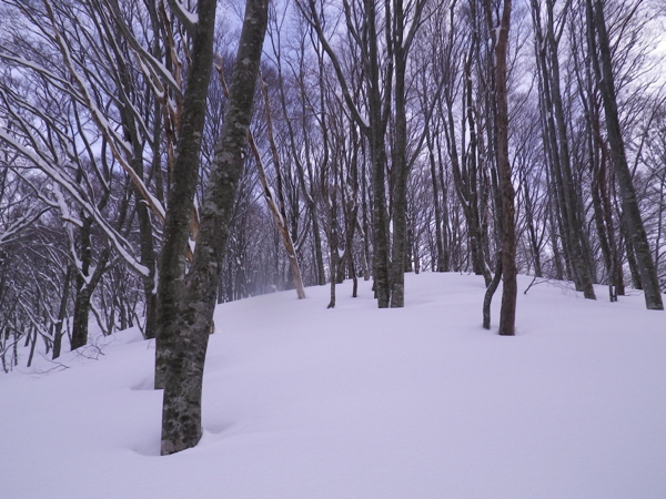 越美国境の美濃俣丸に行ってきました。折からの大雪で912mPまでとなりましたが、腰までのパウダーを満喫しました。