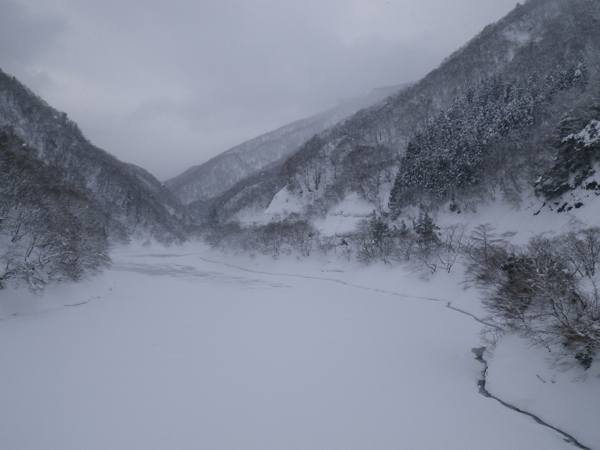 ダム湖左岸の林道を進む。