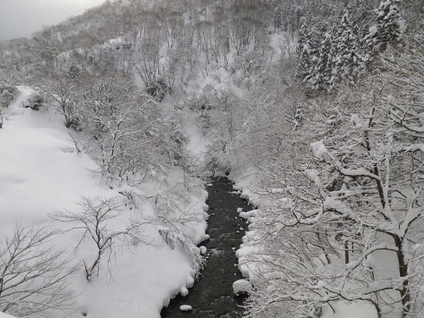 ダム湖に流入する日野川。
