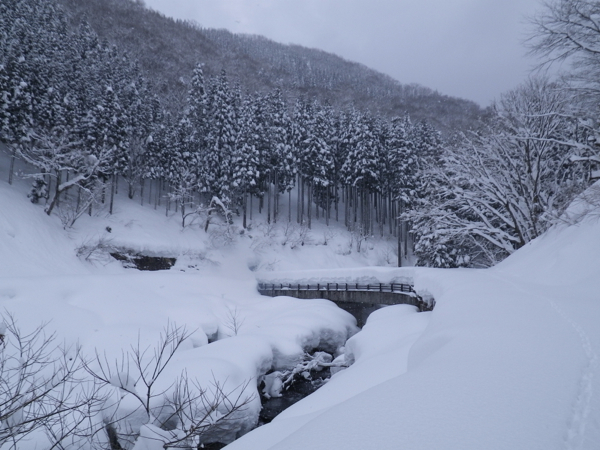 林道終点、橋を渡り尾根に取り付く。
