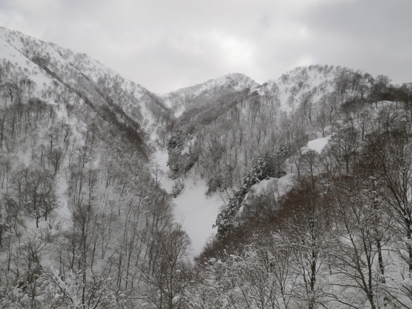 沢源頭の滑降も良さそうだ。