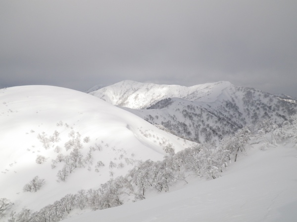 美濃俣丸北側の1220mP、笹ヶ峰。