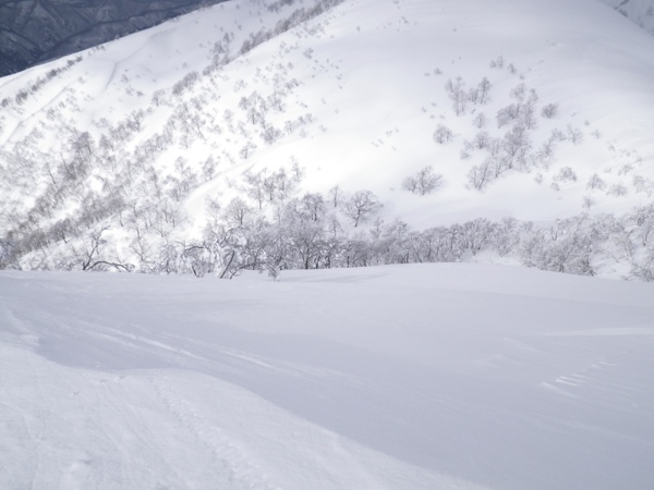 パウダー斜面にドロップイン！