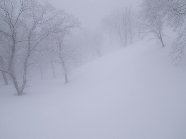 金ヶ丸谷源頭へドロップイン！