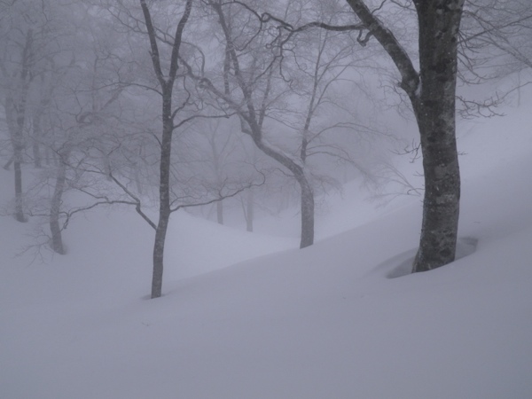 どこまで行ってもぱうぱう。