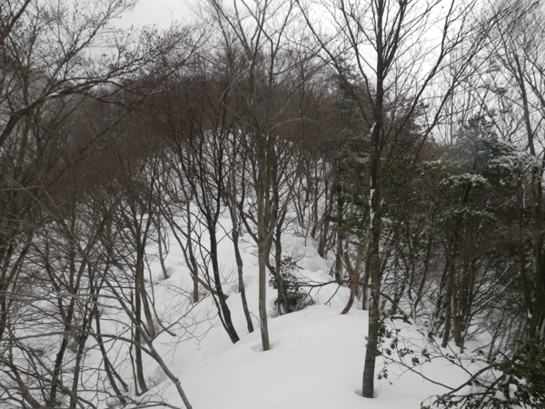 黒谷山南側のヤブ&やせ尾根、滑降困難。