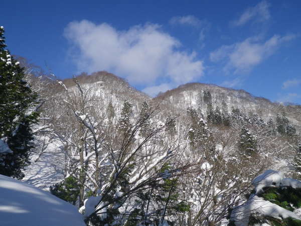 揖斐川町諸家集落奥の新穂に登ってきました。今シーズンは12月中旬から積雪がありましたが、まだスキーには雪が少ないようです。