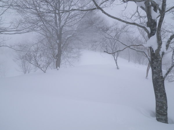 奥揖斐の天狗山に行ってきました。下部はヤブがうるさいですが、上部は雪が十分ありました。展望はなかったですが、静かな山行を楽しめました。