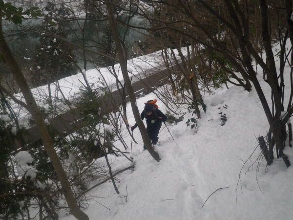 R417脇の階段を登り、尾根に取り付く。