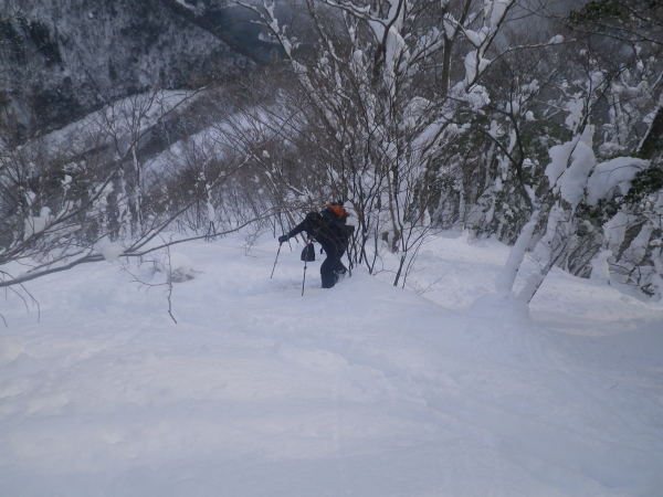 ヤブ尾根の急登を登る、470m付近。