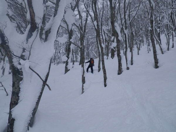 990mP直下の急登、ラッセルのきつい吹きだまり。