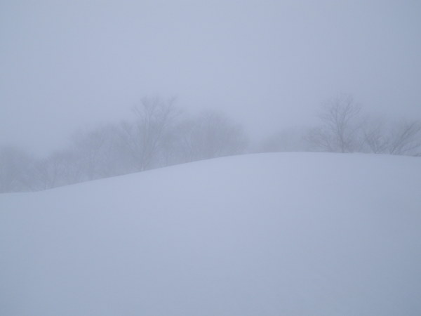 山頂直下、1,120m付近。