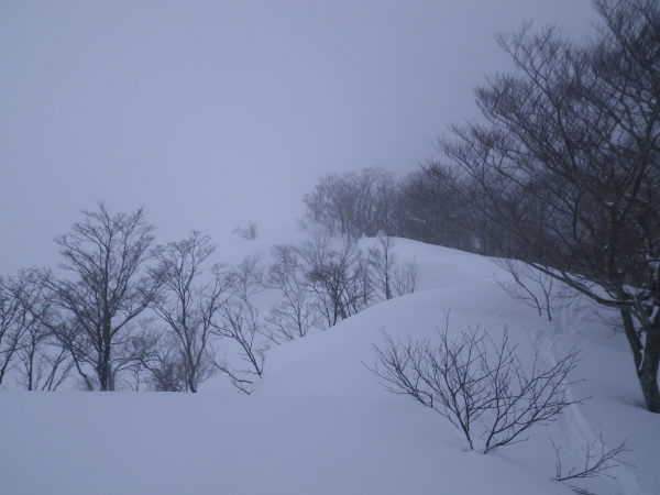 山頂直下のヤセ尾根、南側は雪庇に注意。
